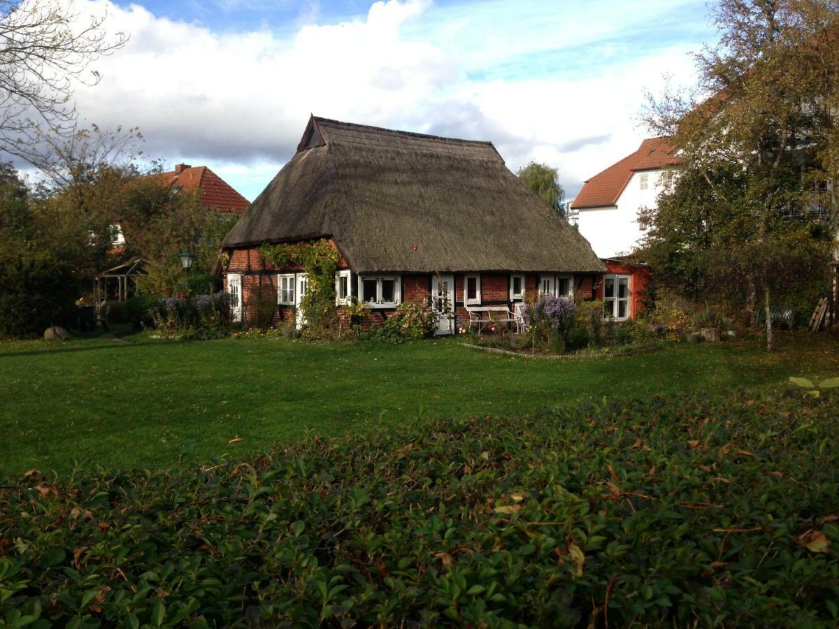 Fewo Am Alten Hafen - Zingst Ostseebad Екстериор снимка